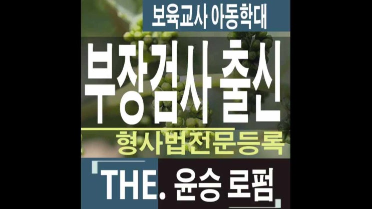  보육교사아동학대  확인되지않은사실은