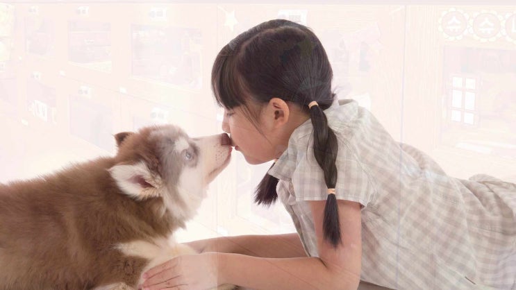  반려견 무지개다리 건넜을 때, 반려견과 이별, 외롭지 않게 보내주세요~