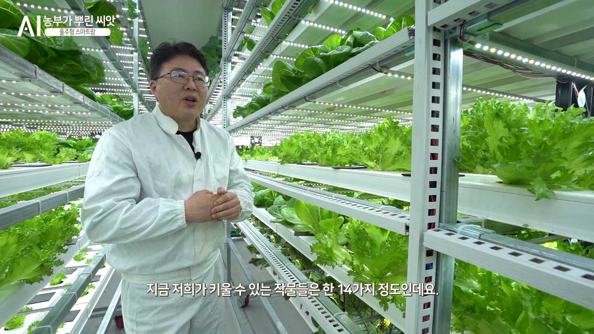 제주도 아나운서/ 내레이션/성우/ 박세영아나운서