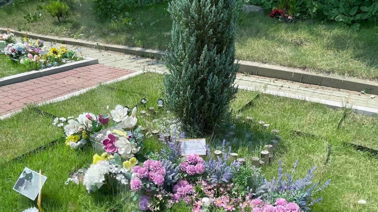  파주 강아지 화장 장례식장 화장터, 좋은 정보와 안내를 통해~