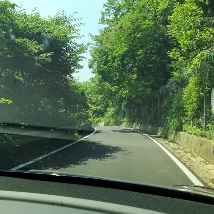 경주 힐링캠프펜션 산속 글램핑장 가족여행