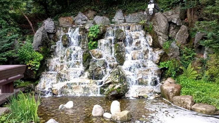  남산길 폭포  시원한 여름 보내세요