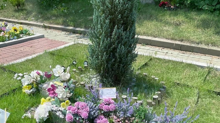  김포 강아지 장례 고양이 화장 반려동물 장례식장 화장터, 잘 선정하기 위한 가이드!