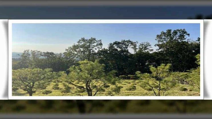  벽제수목장 다양한 이점을 갖춘 추모공원
