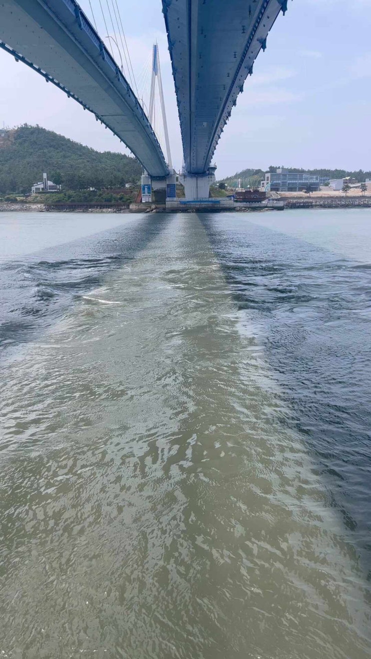  울돌목스카이워크