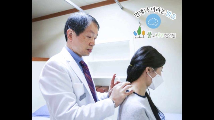  대구두통병원 풀과나무한의원 어때요