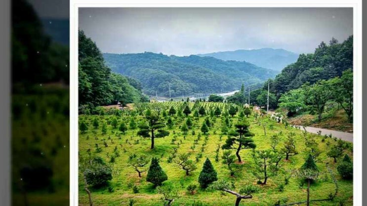  청양수목장 선택에 알아둘 내용