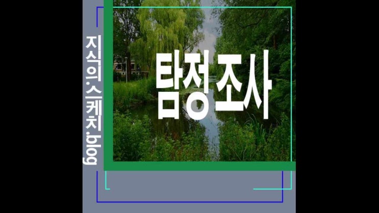 범죄수사와 연관된 탐정조사의 특징과영역