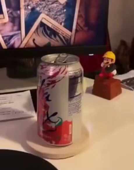  주인에게 까꿍 하는 앵무새.gif