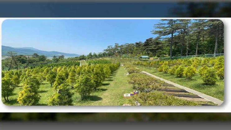  부천수목장 소중한 분들의 휴식처