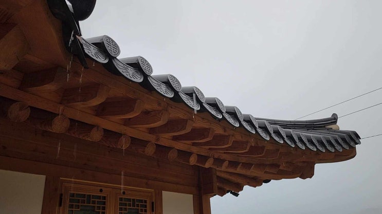  비가 오네요.