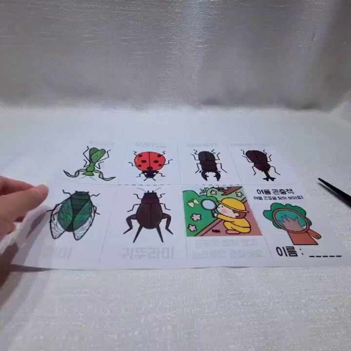  여름 곤충책 만들기 유치원 어린이집 무료 도안 나눔 꽃진쌤