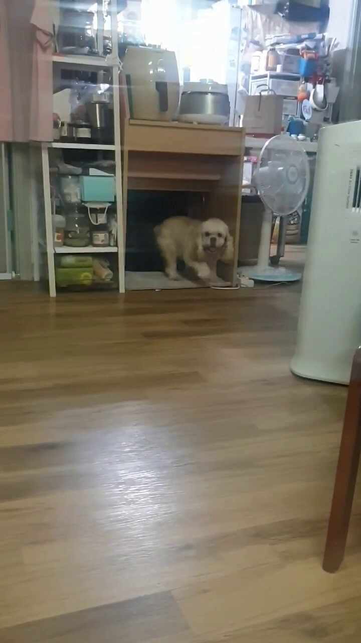  하루의 고난도 기술(1)