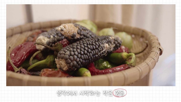  [영상촬영] 도시농업 # 담장마켓