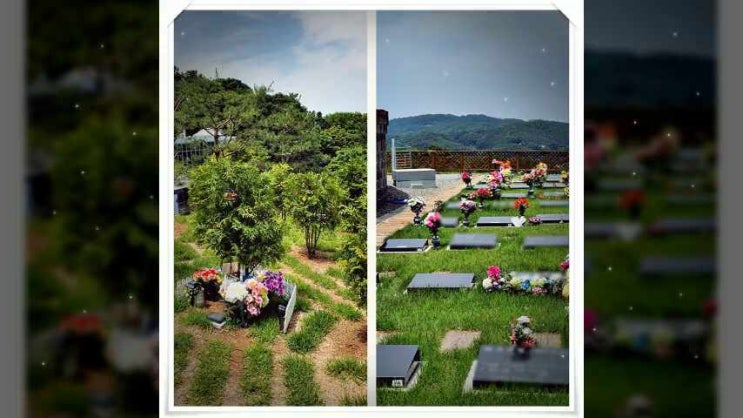  연천수목장 미리 준비해야