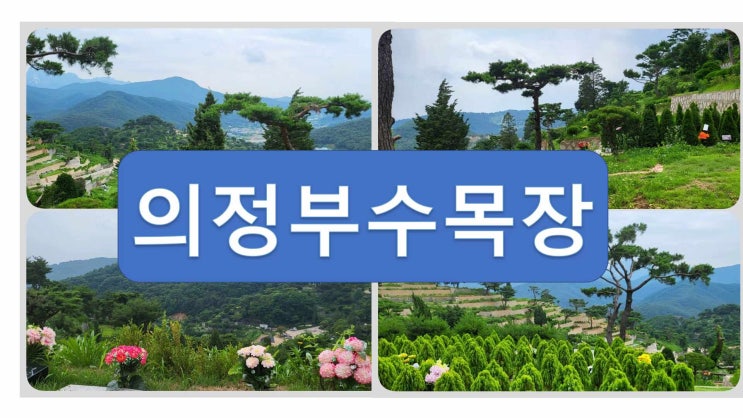  의정부수목장 경민대학교에서 10분 거리
