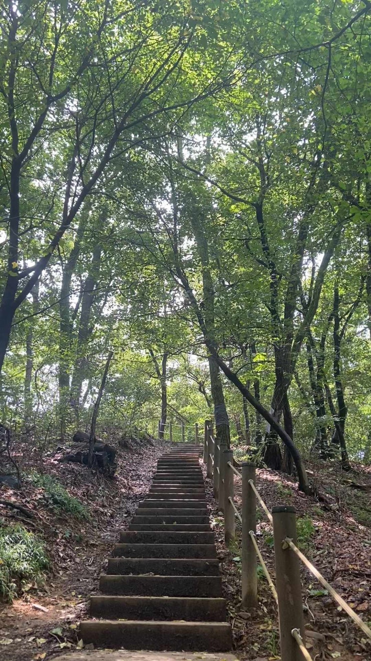 힐링~ 산새 
