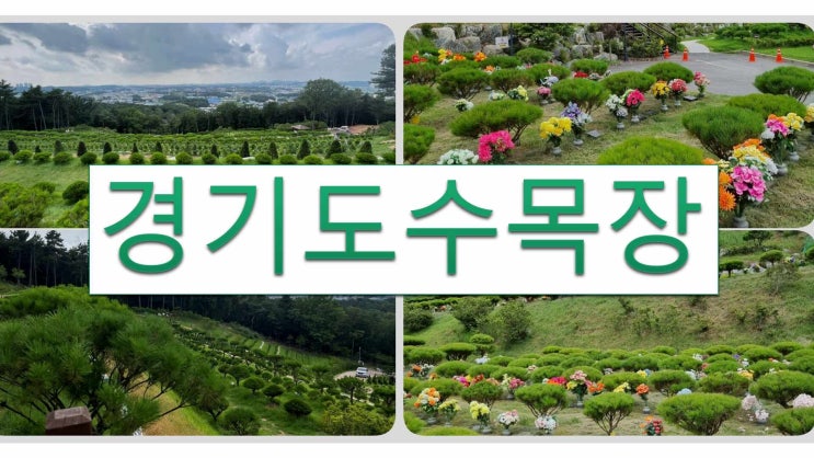  경기도수목장 전체 가격 비용 금액 데이타표