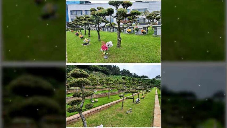  시흥수목장 필요사항 확인해서