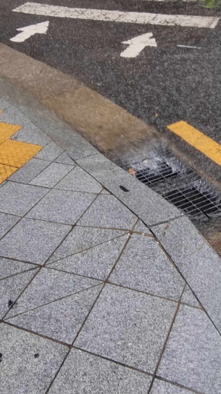  폭우 물난리 때 강남역과 삼성역은 피해야..