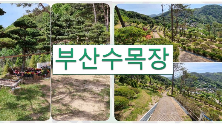  부산수목장 50분 거리에 있습니다.