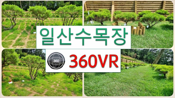  일산수목장 실시간 동영상으로 현장 답사하세요.