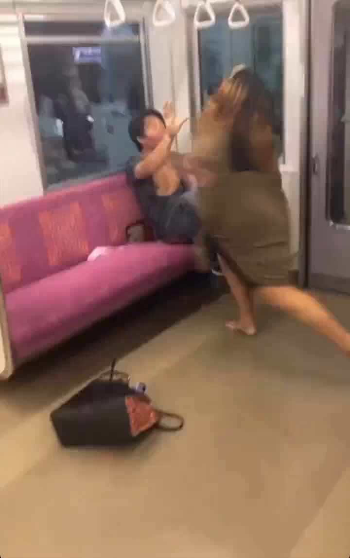  일본의 전철 난투극