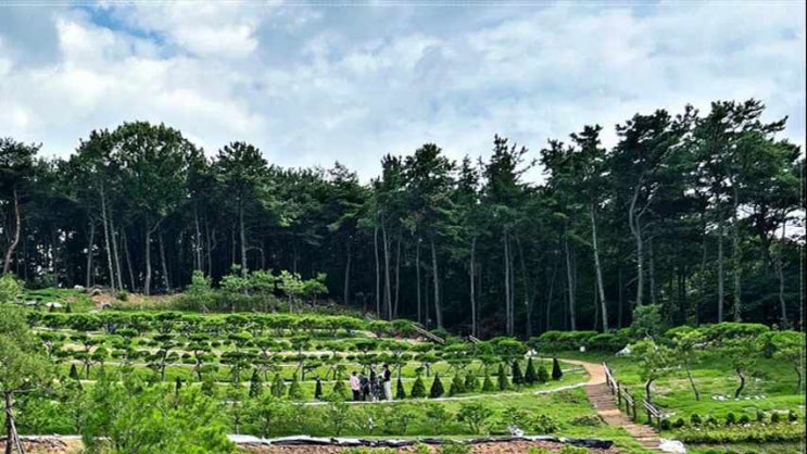  고양수목장 적합한 기준으로