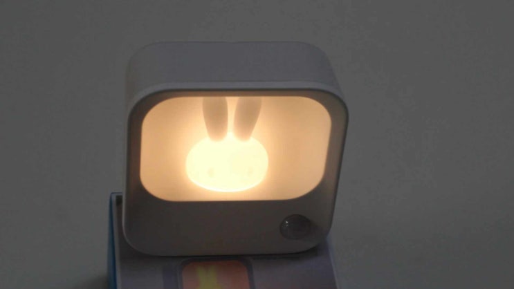  아이방 인테리어 무드등 이지넷유비쿼터스 토끼 LED 센서등 NEXT-LED021RAB
