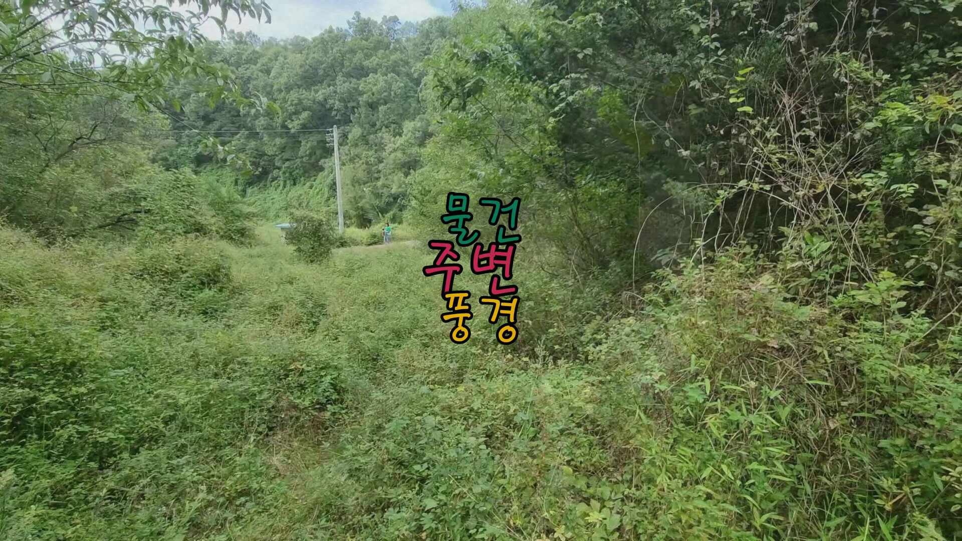 경북의성토지매매땅매매농막설치가능주말농장경매