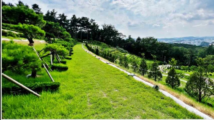  수목장가격 과 여러 상황 고려하여 준비