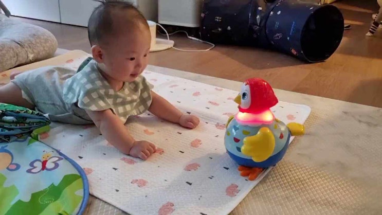  국민 아기 장난감 - 꼬꼬맘 무한 반복은 고장이 아닙니다.