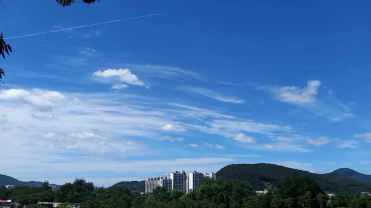  곤지암 도자공원 볼거리