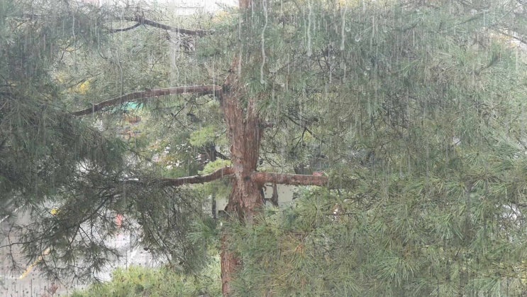  주간일기챌린지