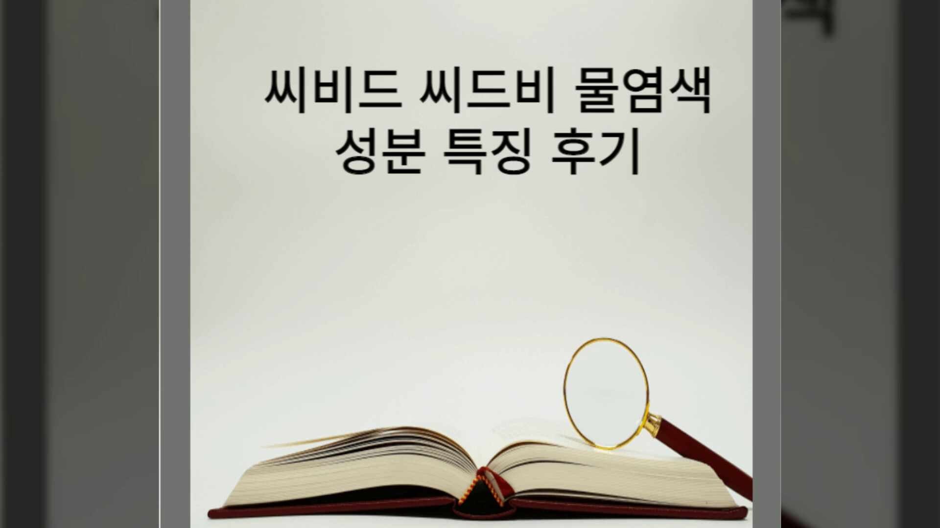 씨비드 물염색 성분 색상 후기 특징 올리브영 씨드비