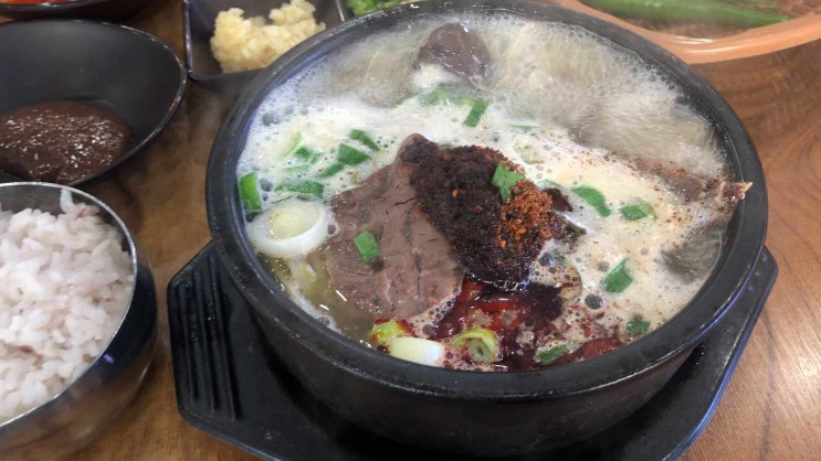  제주도 함덕 해장국맛집 함덕골목 후기