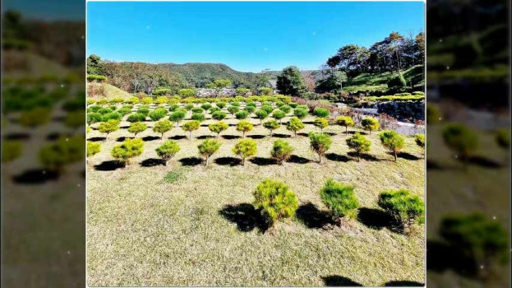  용인수목장 주요 특성이 걱정된다면