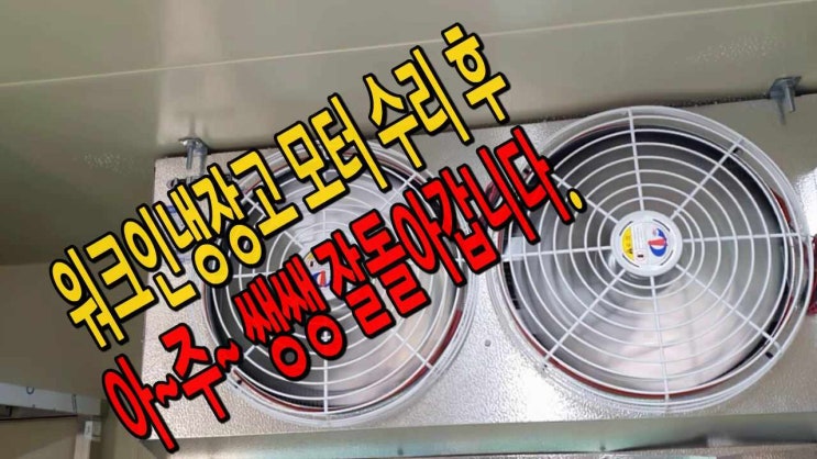  워크인냉장고수리 안산 시흥 부천"냉동창고 에서 타는 냄새"저온창고수리 범계 산본 인덕원DSFOX FOX-I05B동화WIN DCA-050 중앙냉동 JUC-S050L CRNQ-0500