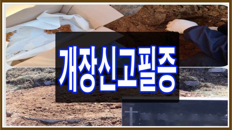  개장신고필증, 개장신고서 발급 과정 상세안내