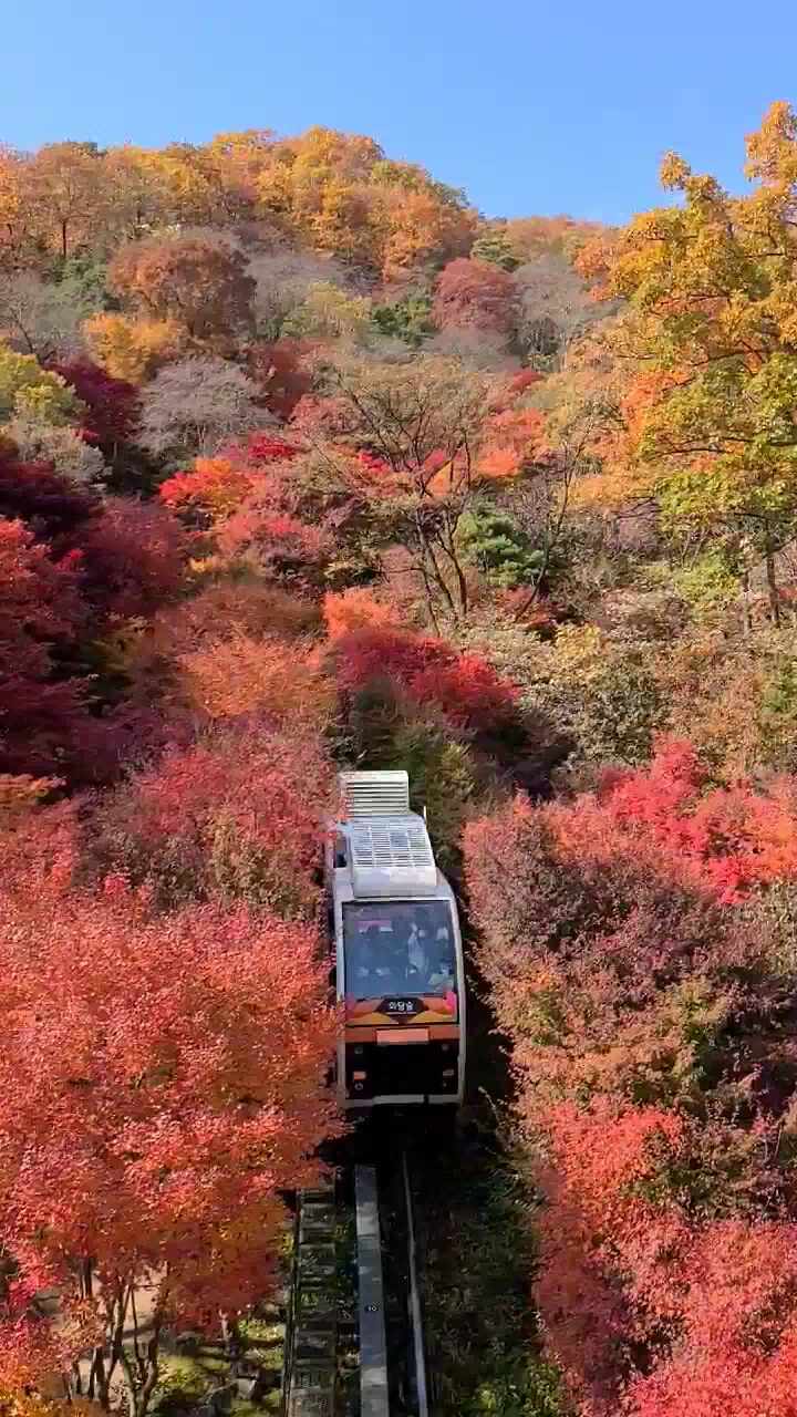  [경기도 근교나들이: 경기도 광주, 가볼만한곳] 울긋불긋 가을 단풍, 화담숲
