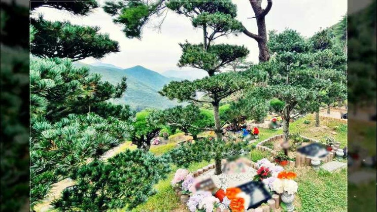  영구성에 맞춰 양산수목장 준비하려면