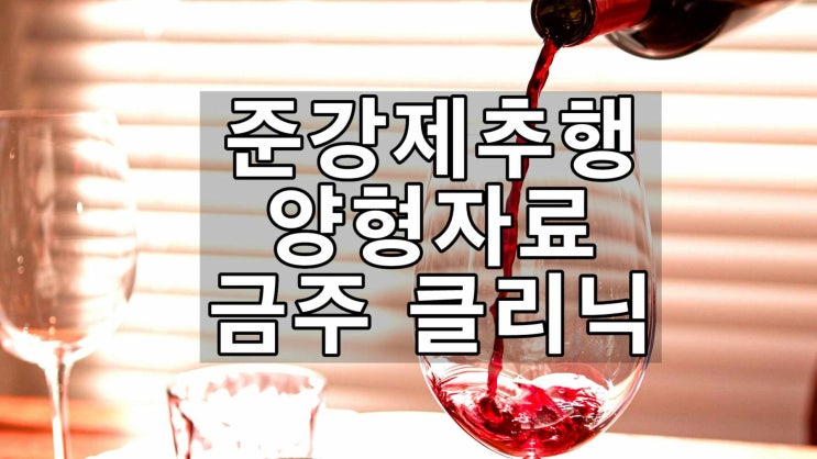  알콜 클리닉과 준강제추행 양형자료 금주 치료 확인서