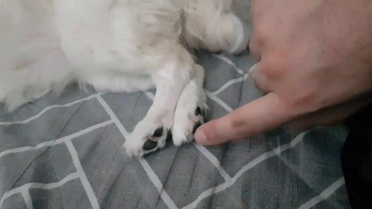  어느날