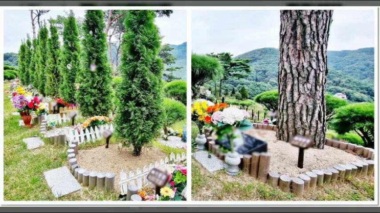  양산수목장 신중하게 접근하려면