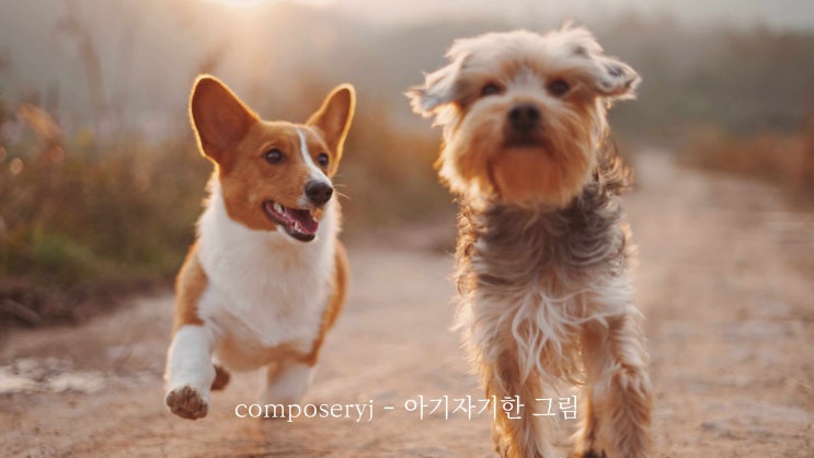  [BGM 모음집] 띵브금 대방출!! 며느리도 모르는 비법 배경음악모음_1