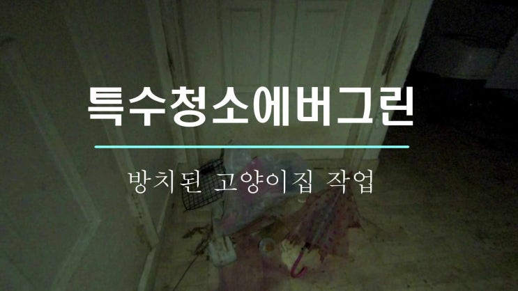  서울 강서구 고양이 악취 흔적 탈취 제거 쓰레기집 특수청소