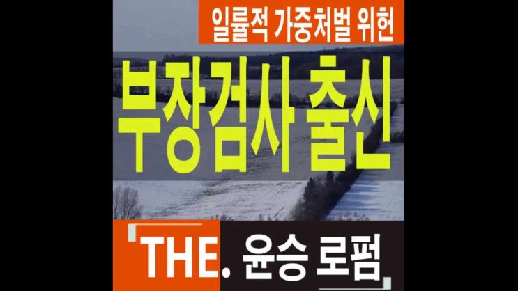  의왕음주운전변호사 일률적 가중처벌위헌사례검토
