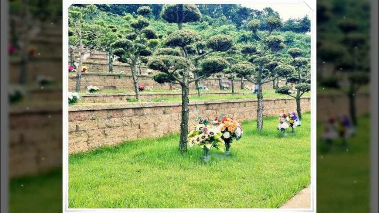  평택수목장 선택은 기준과 과정에 따라서