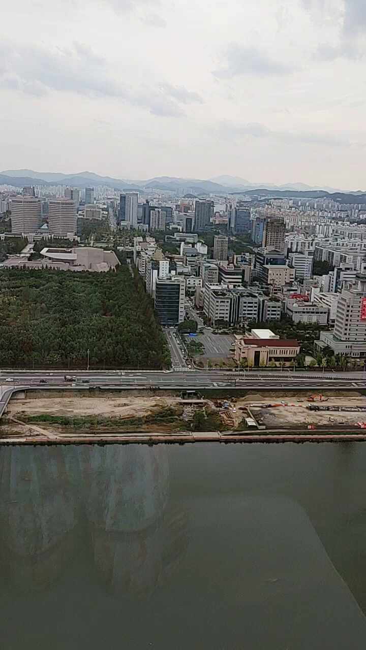  내돈내산 오노마호텔 오토그래프컬렉션 수영장 갑천뷰 대전호캉스