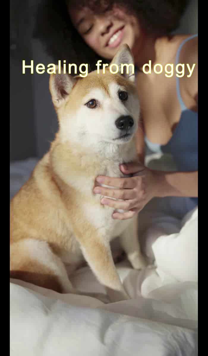  Healing from doggy 03